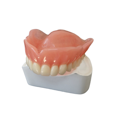 Μετακινούμενο Orthodontic γυαλίζοντας υλικό κορωνών δοντιών FDA τρισδιάστατο έντυπο