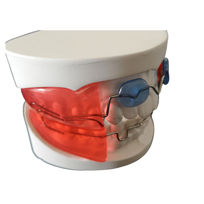 Οι οδοντικές Orthodontic συσκευές απλές εγκαθιστούν το βιολογικό υλικό υψηλής τεχνολογίας