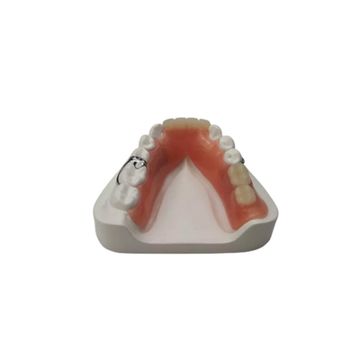 Flexible Resin Denture Dental Lab Dental Acrylic αφαιρούμενη μερική οδοντοστοιχία